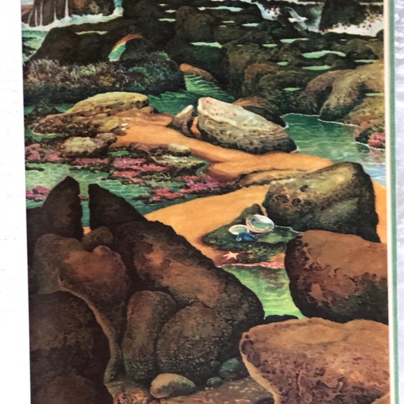 Pagoo by Holling Clancy Holling 1957 Vintage Book - Picture 9 of 13